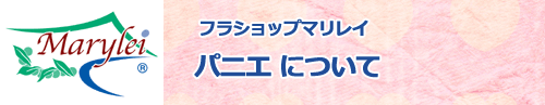 パレオのB級品についてフラショップマリレイ